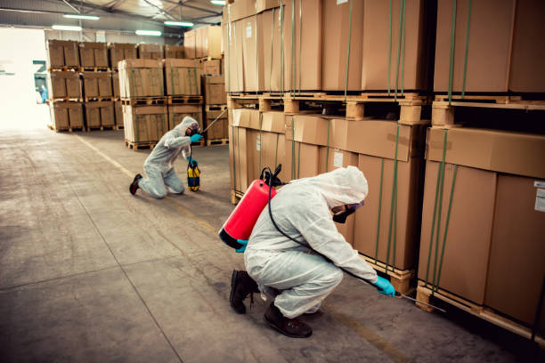 Best Residential Pest Control  in St Francis, MN