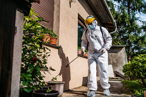 Best Mosquito Control Services  in St Francis, MN