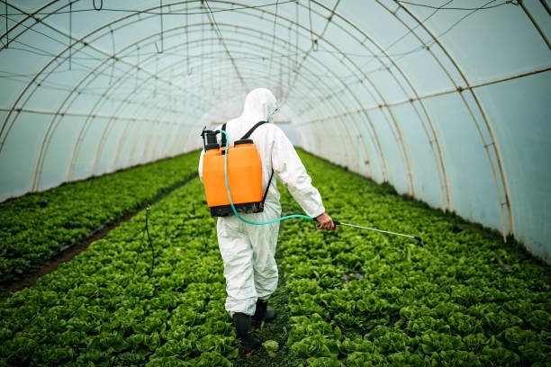 Best Local Pest Control Services  in St Francis, MN