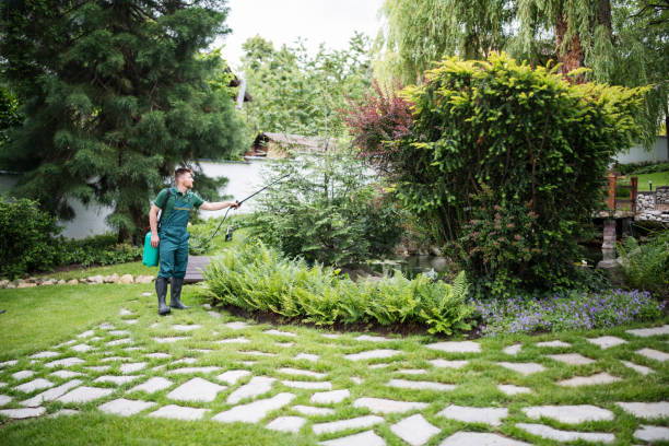 Best Pest Prevention Services  in St Francis, MN