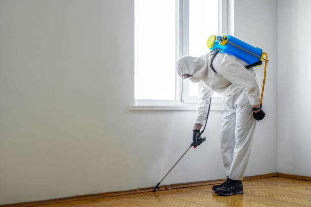 Best Pest Control for Homes  in St Francis, MN