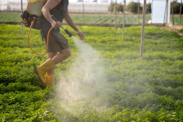 Best Exterminator Services  in St Francis, MN