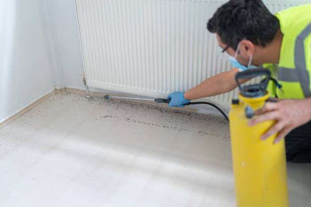 Best Local Pest Control Services  in St Francis, MN